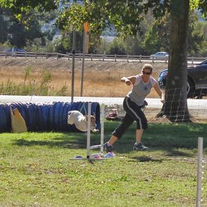 Meet your Posher, Jessie